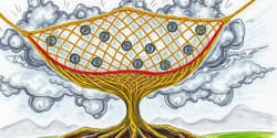The Financial Safety Net: Building Robust Defenses