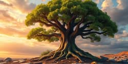 Financial Resilience: Building a Portfolio That Lasts